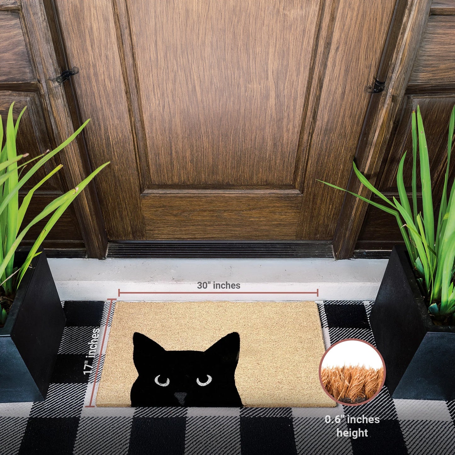 Curious Cat Natural Coir Doormat