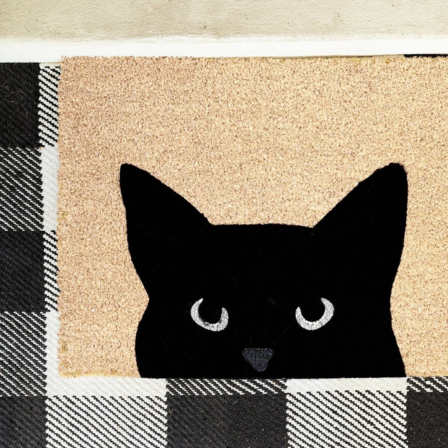 Curious Cat Natural Coir Doormat