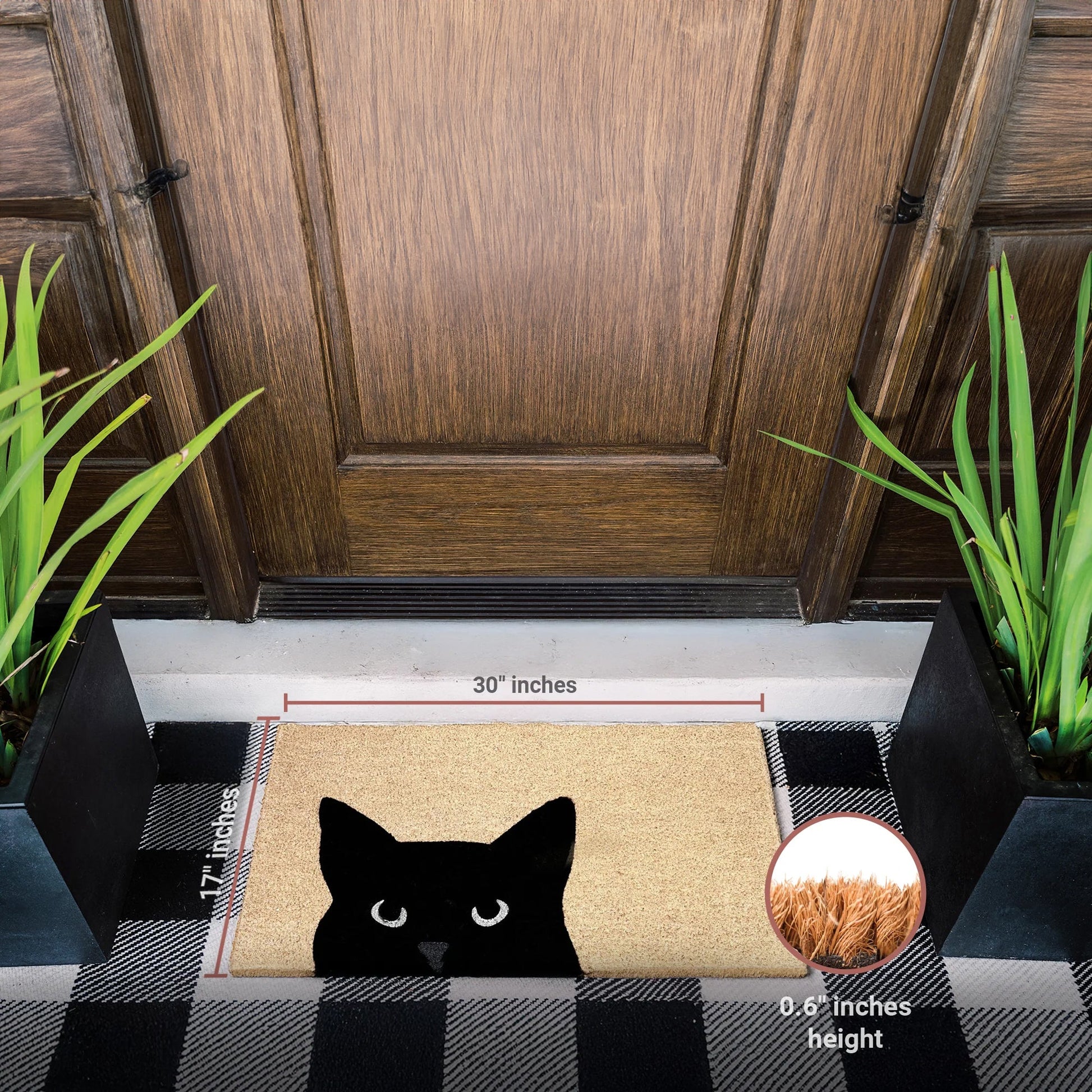 Curious Cat Natural Coir Doormat