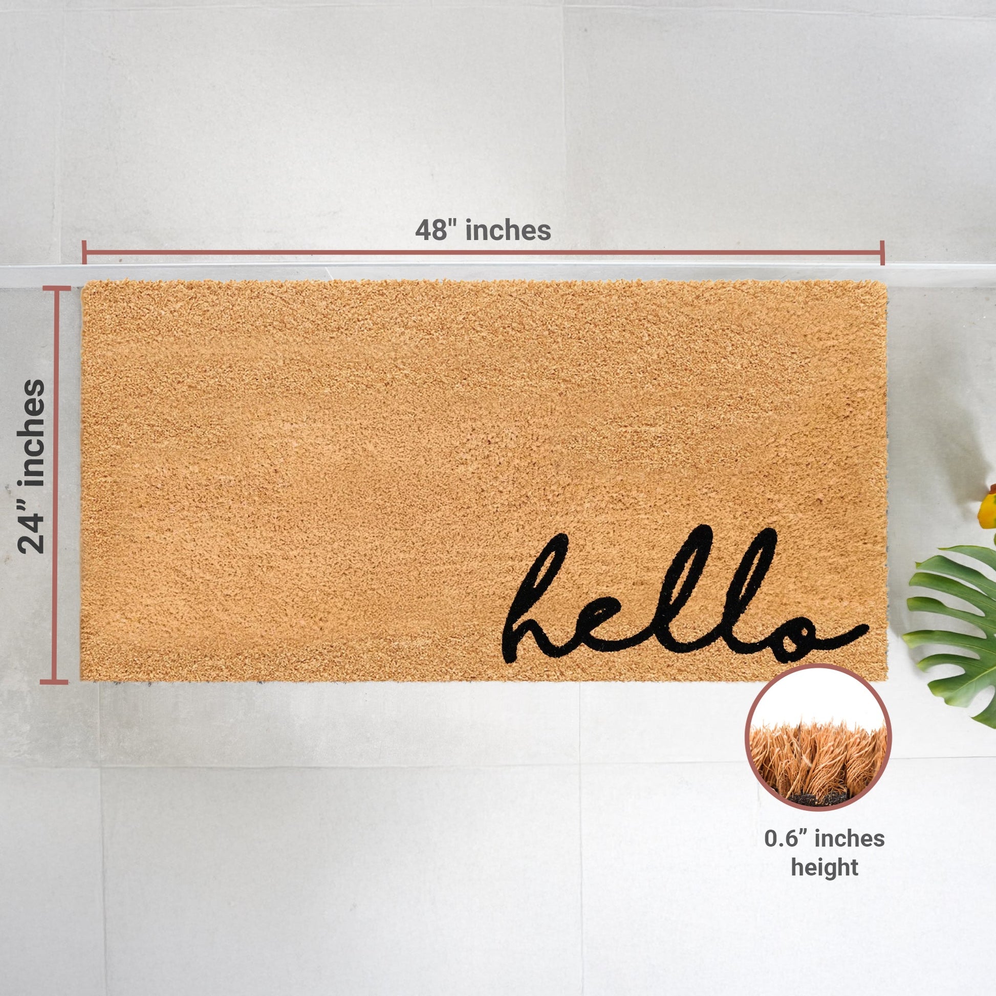 Meet and Greet Natural Coir Doormat - 24x48