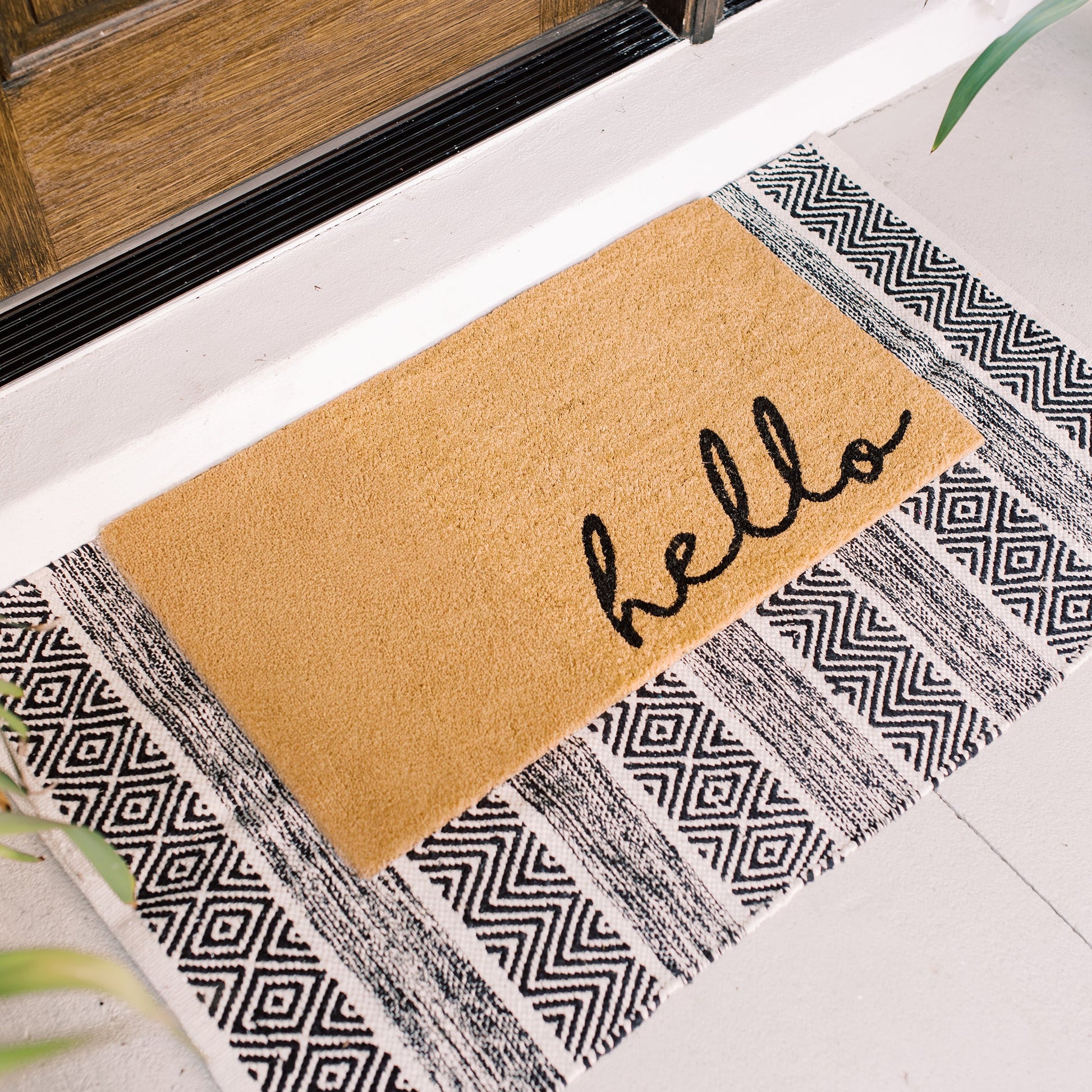 Meet and Greet Natural Coir Doormat - 17x30