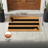 Long & Low Natural Coir Doormat - 17x30