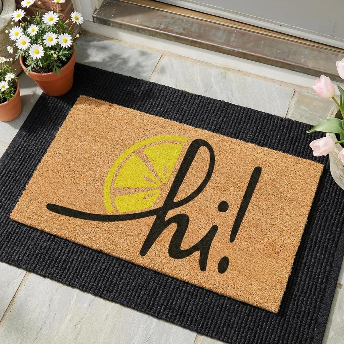 Zesty hi! Natural Coir Doormat - 17x30