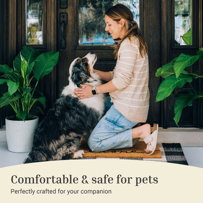 Hop On In Natural Coir Doormat - 17x30