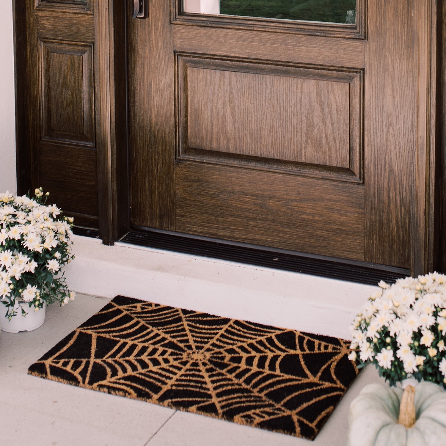 Stuck in Web Natural Coir Doormat