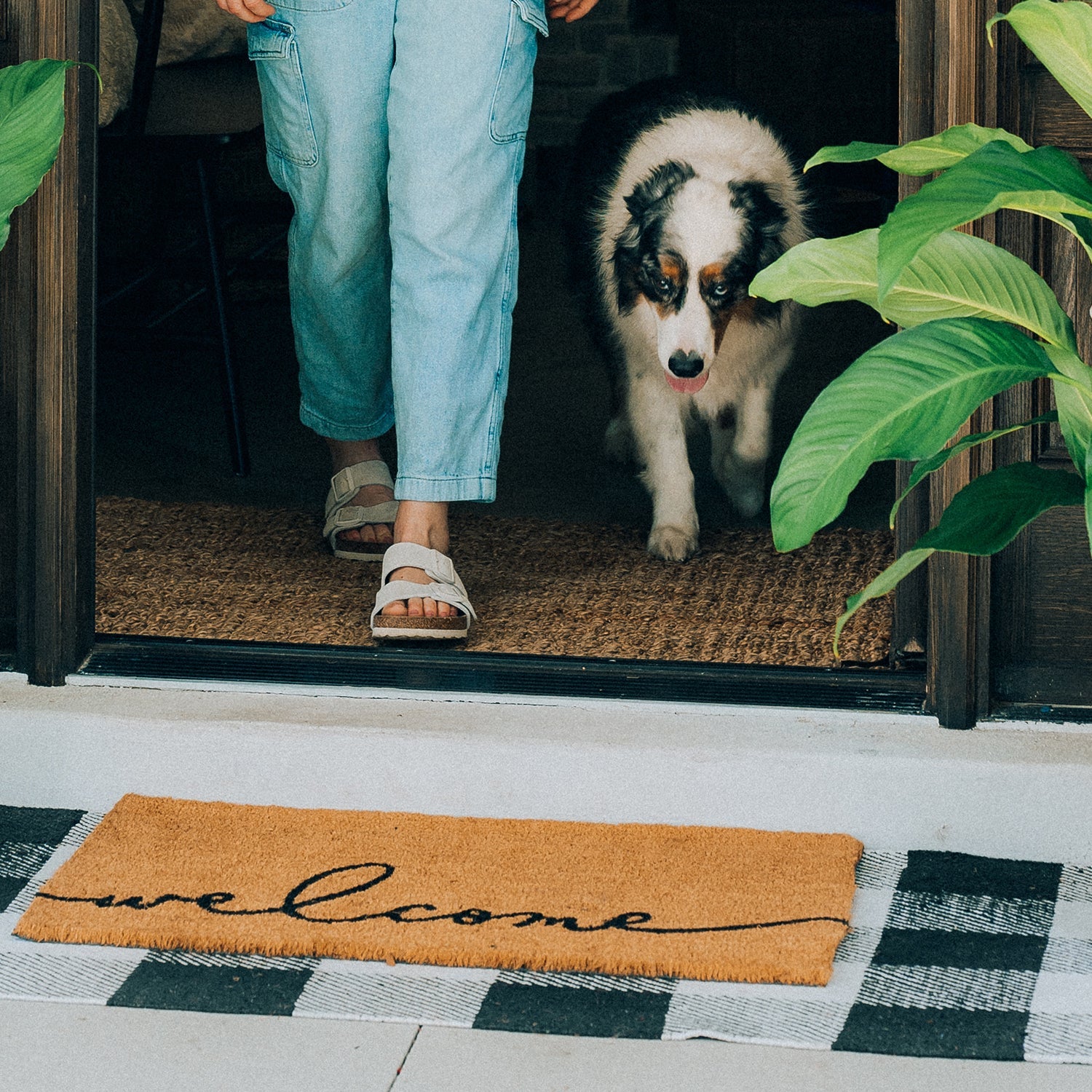 Warm Greeting Natural Coir Doormat Theodore Magnus