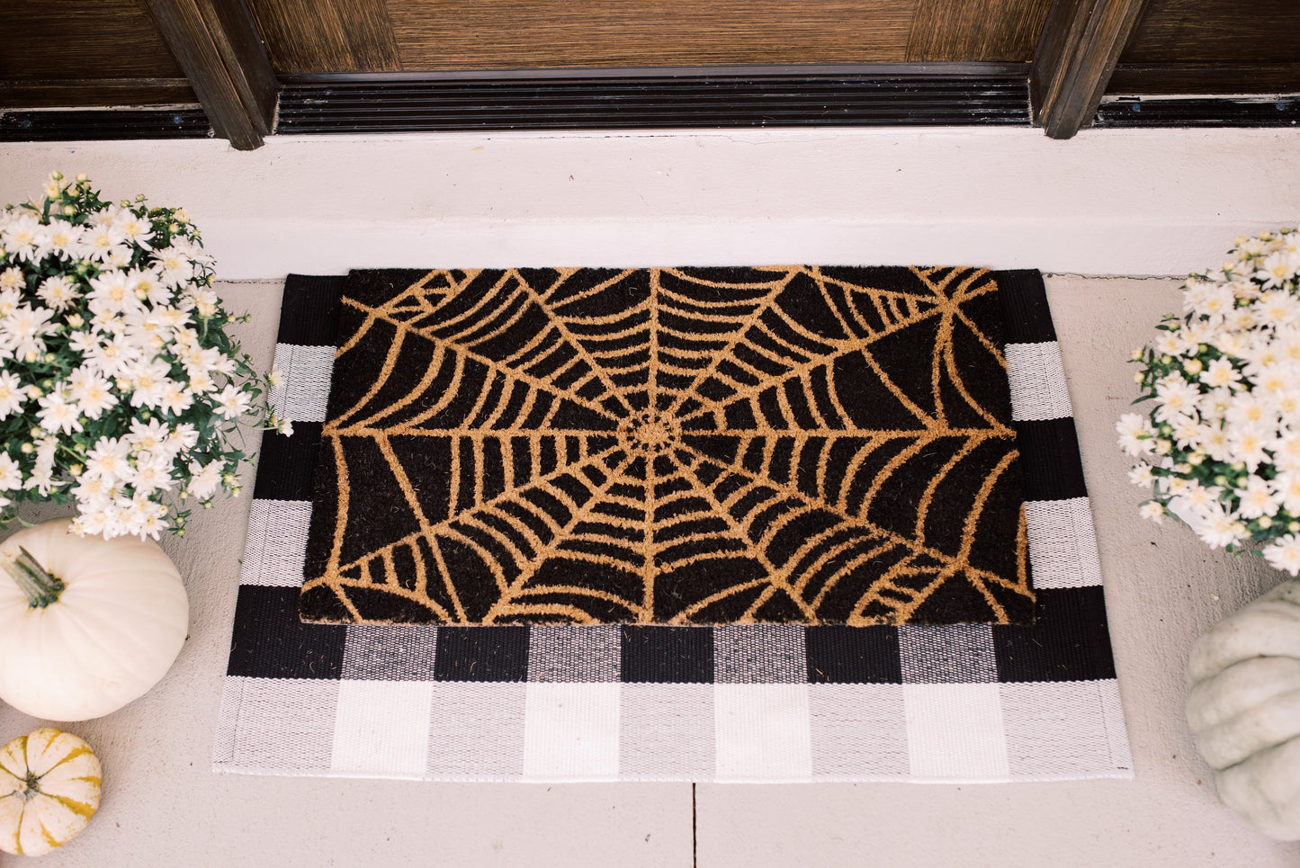 Theodore Magnus Natural Coir Doormat with non-slip backing - 17 x 30 - Outdoor / Indoor - Black - Stuck in a Web